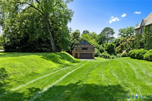 a view of a garden with plants