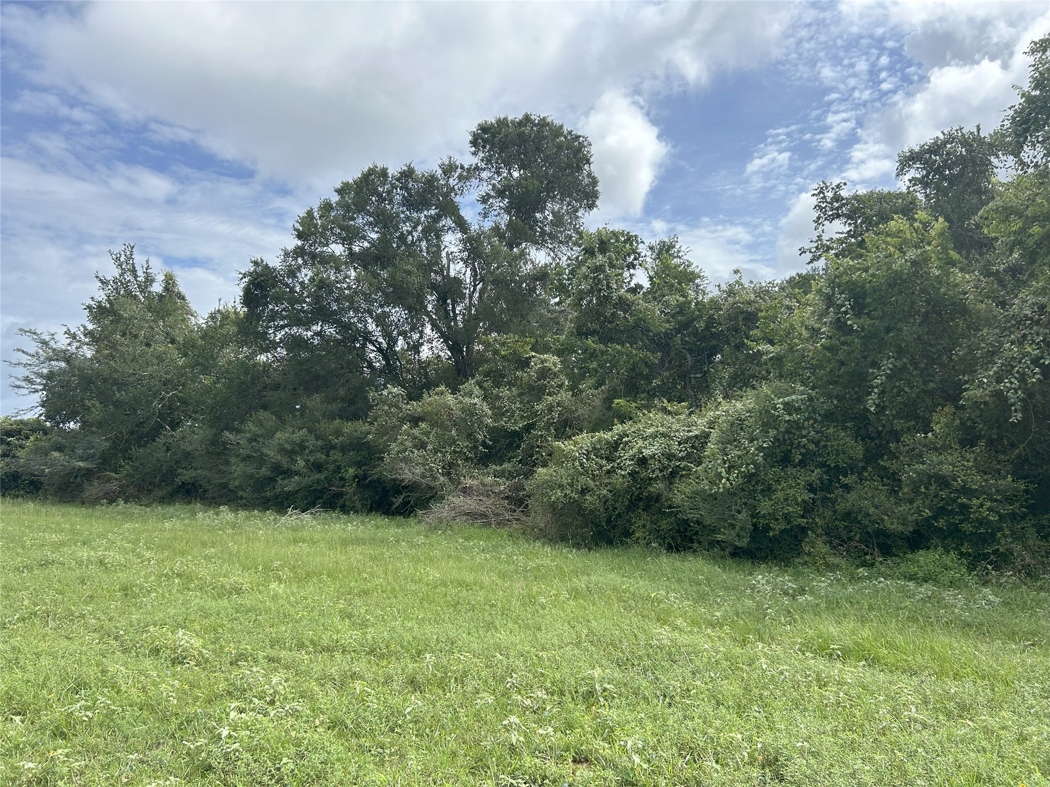 Tbd Holik Road Hempstead, TX 77445 - Photo 23 of 50