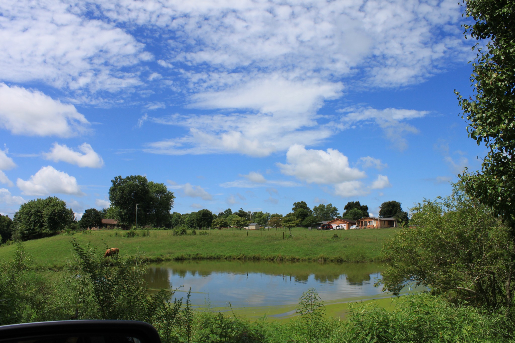 2 Old Mill Hill Road Dowelltown, TN 37059 - Photo 1 of 33 a view of a lake and green valley