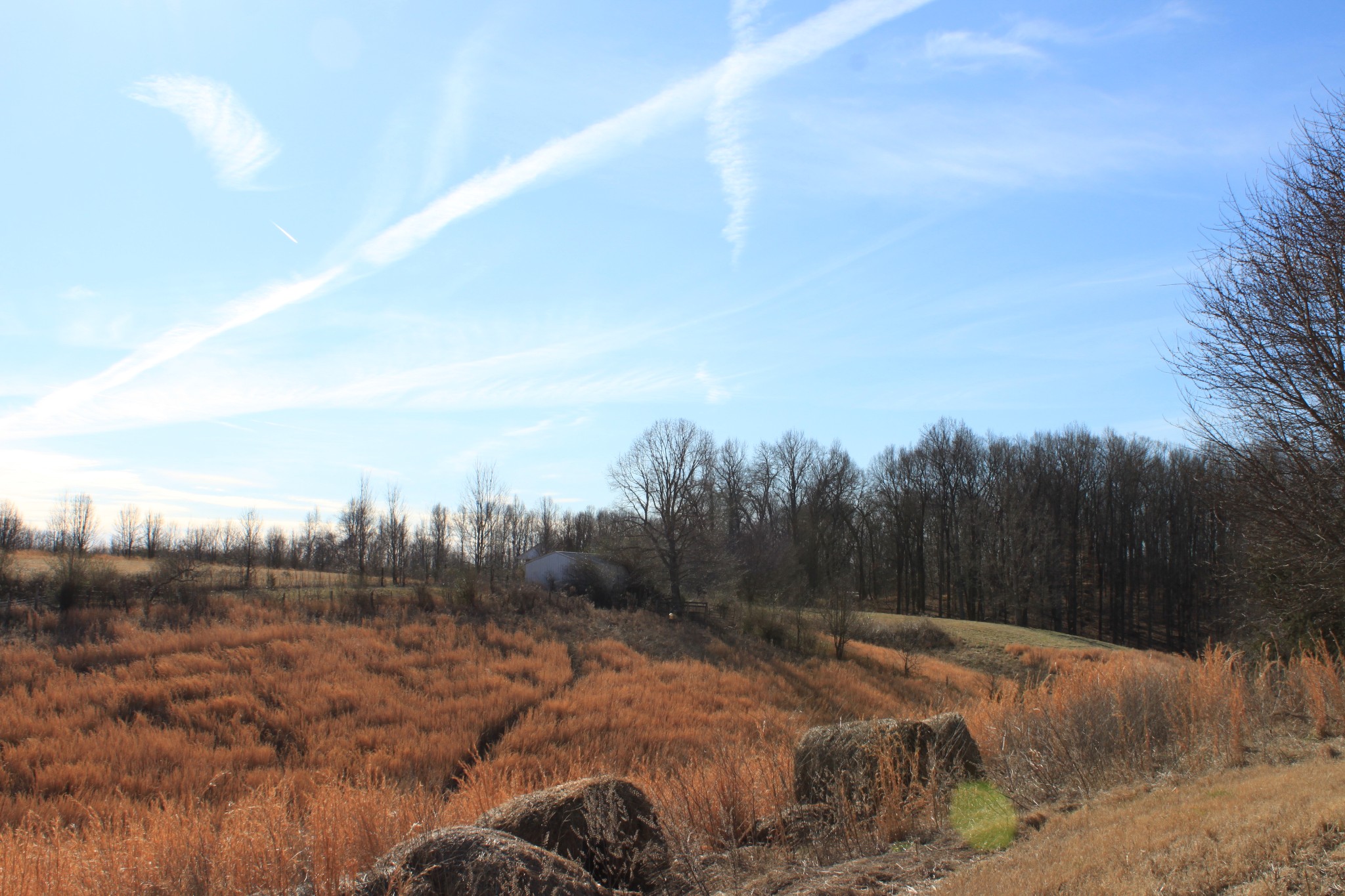 2 Old Mill Hill Road Dowelltown, TN 37059 - Photo 11 of 33 a view of a backyard