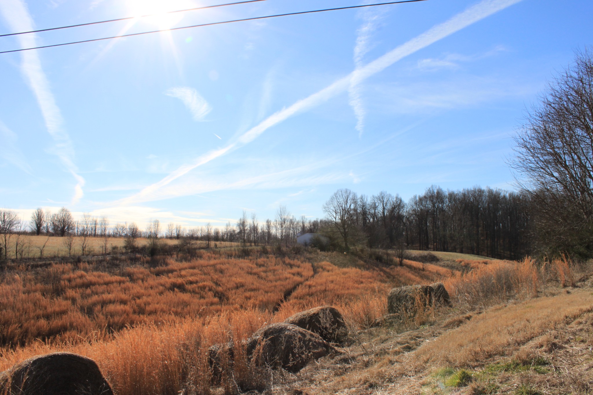 2 Old Mill Hill Road Dowelltown, TN 37059 - Photo 12 of 33 a view of a field