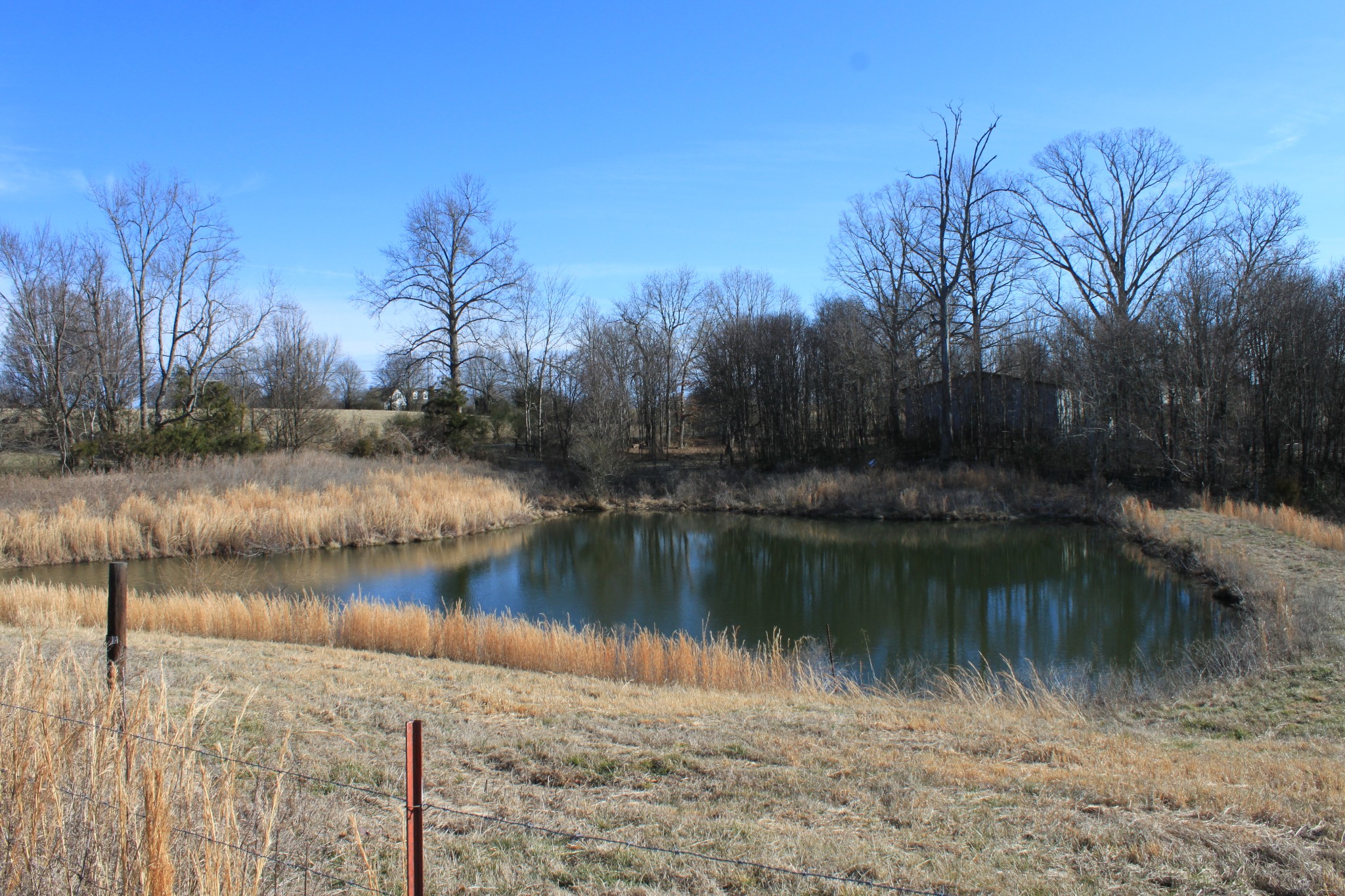 2 Old Mill Hill Road Dowelltown, TN 37059 - Photo 13 of 33 a view of a lake with green space