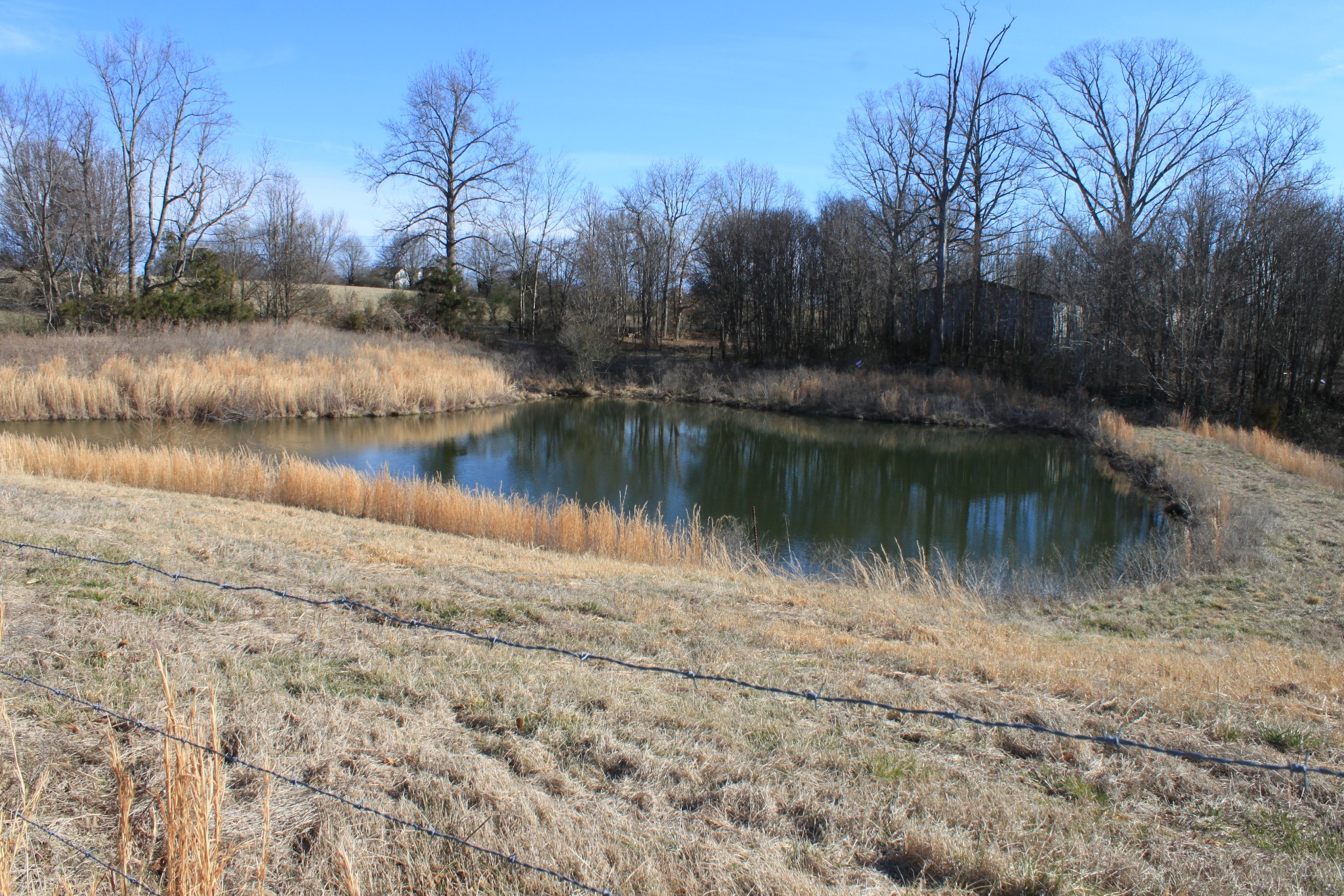 2 Old Mill Hill Road Dowelltown, TN 37059 - Photo 14 of 33 a view of lake