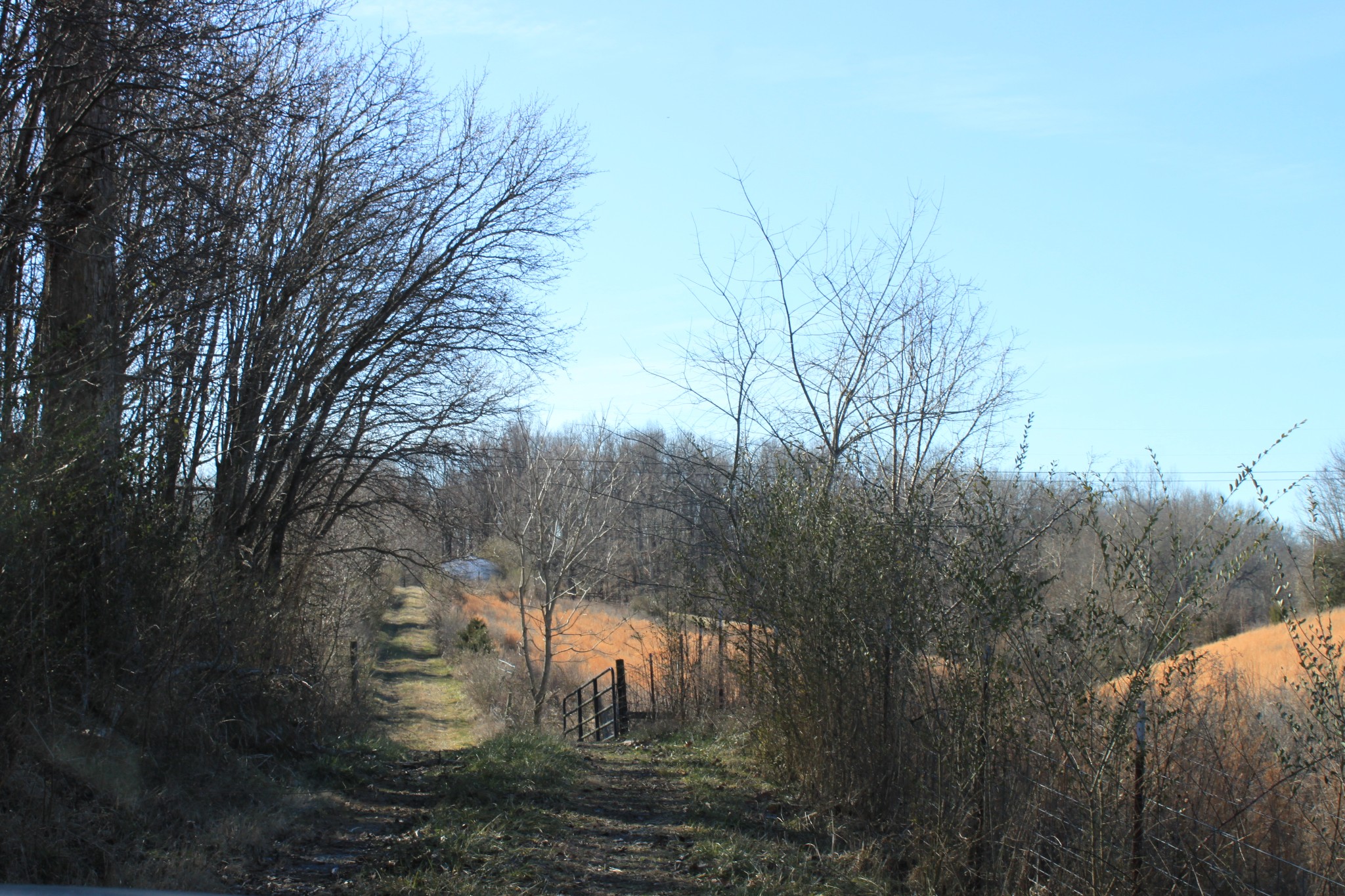 2 Old Mill Hill Road Dowelltown, TN 37059 - Photo 18 of 33 a view of a yard with large trees