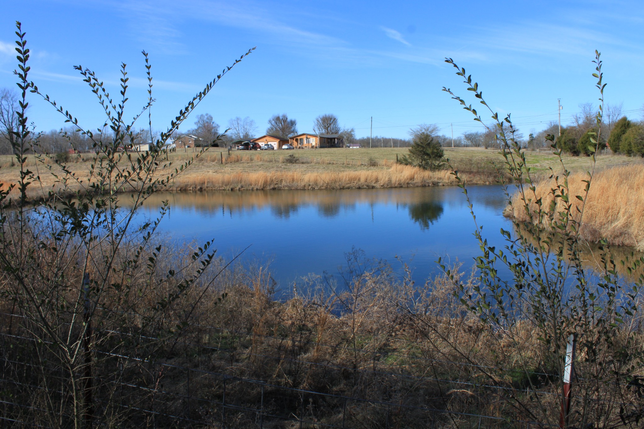 2 Old Mill Hill Road Dowelltown, TN 37059 - Photo 19 of 33 a view of a lake in middle of forest