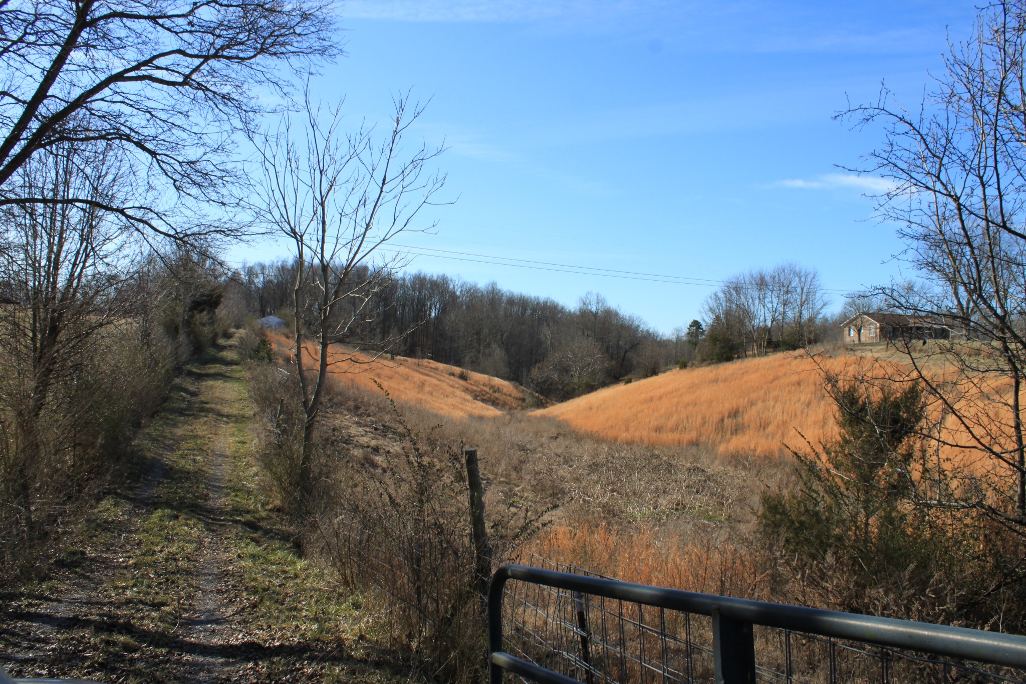 2 Old Mill Hill Road Dowelltown, TN 37059 - Photo 20 of 33 a view of a backyard of the house