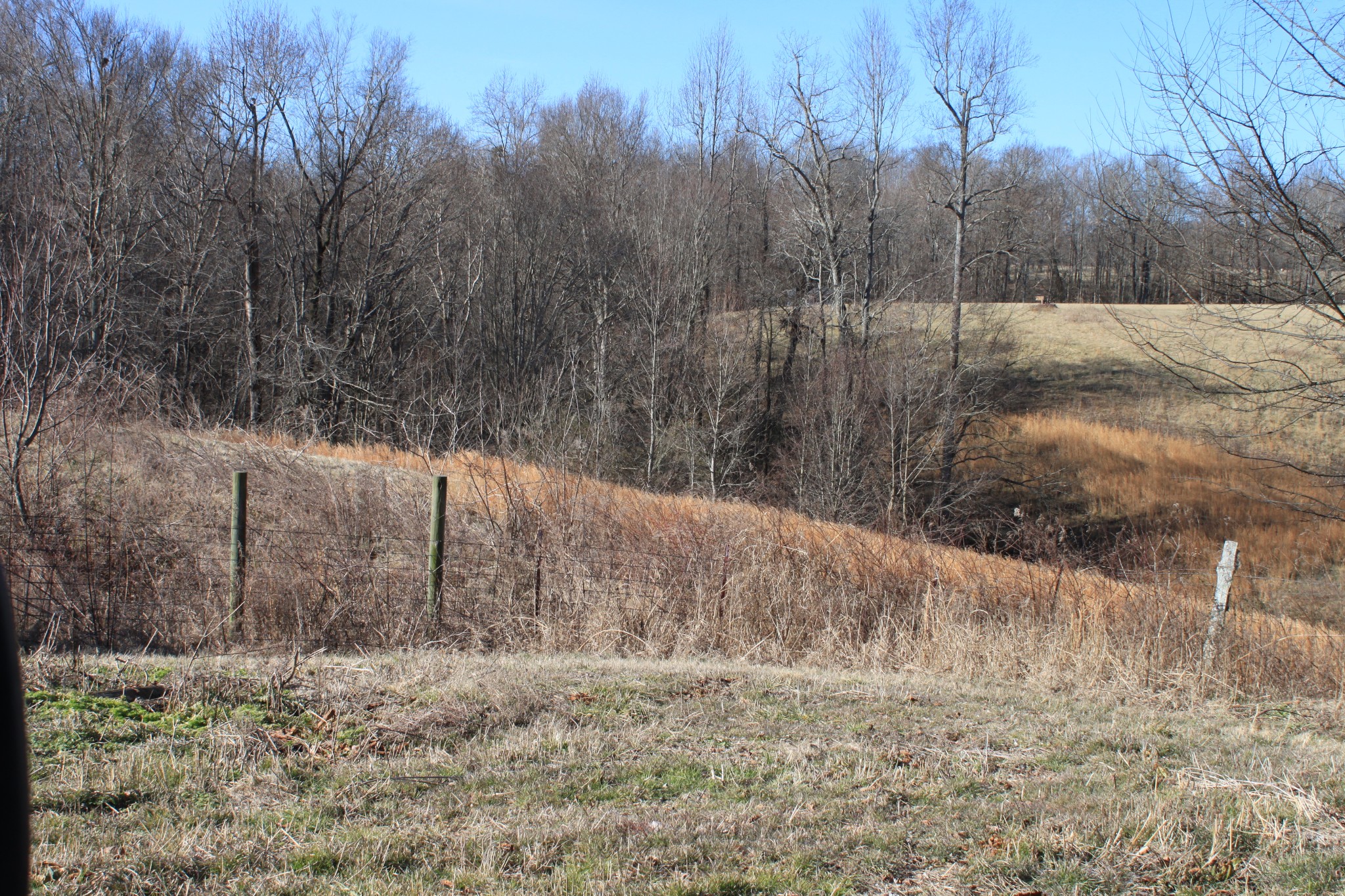 2 Old Mill Hill Road Dowelltown, TN 37059 - Photo 22 of 33