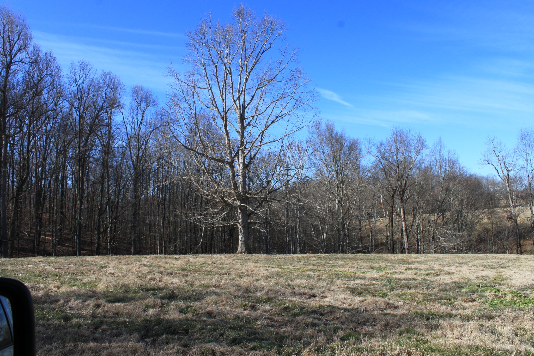 2 Old Mill Hill Road Dowelltown, TN 37059 - Photo 23 of 33 a fire hydrant in the middle of a field
