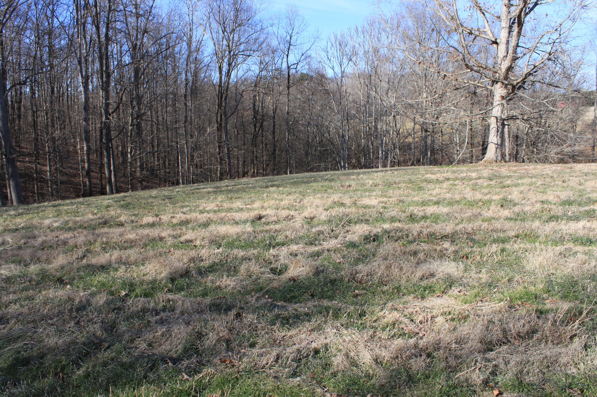 2 Old Mill Hill Road Dowelltown, TN 37059 - Photo 25 of 33 a backyard of a house