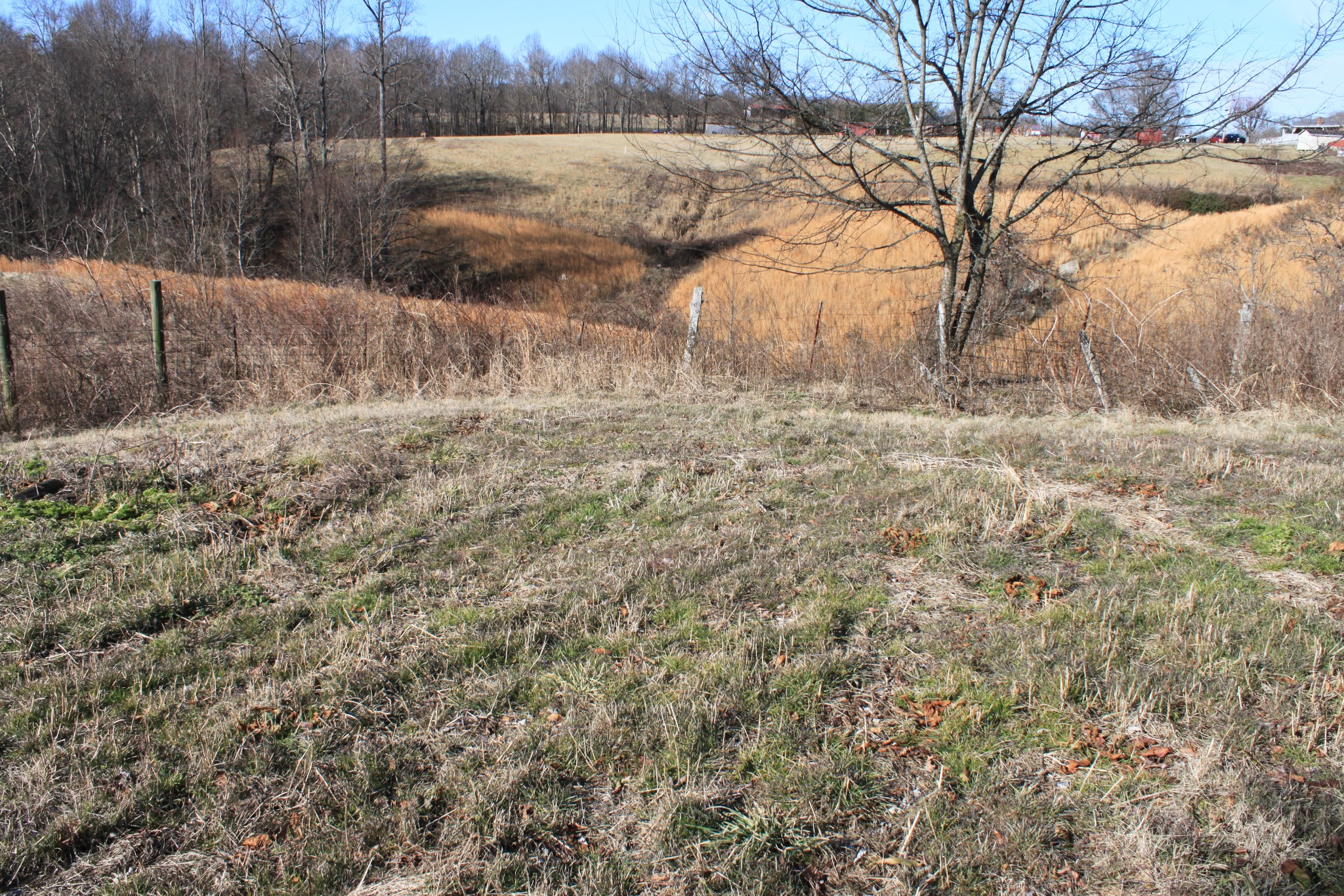 2 Old Mill Hill Road Dowelltown, TN 37059 - Photo 27 of 33 a view of lake with a yard