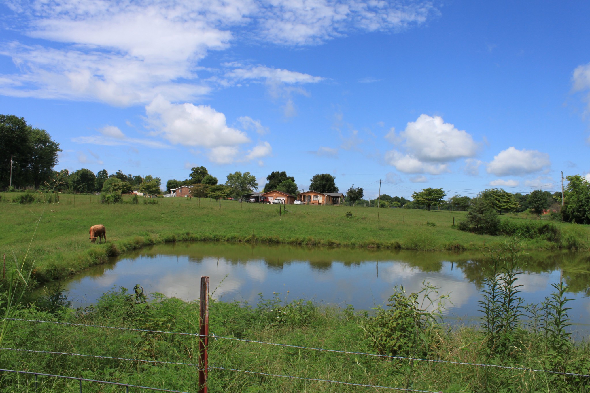 2 Old Mill Hill Road Dowelltown, TN 37059 - Photo 3 of 33 a view of a lake from a yard