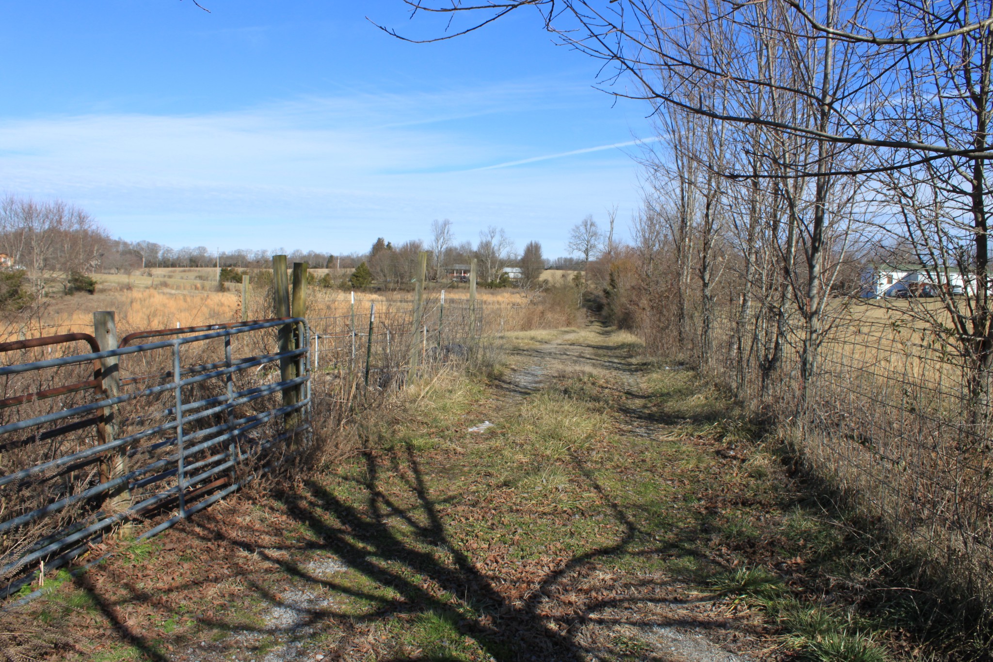 2 Old Mill Hill Road Dowelltown, TN 37059 - Photo 32 of 33 a view of a lake