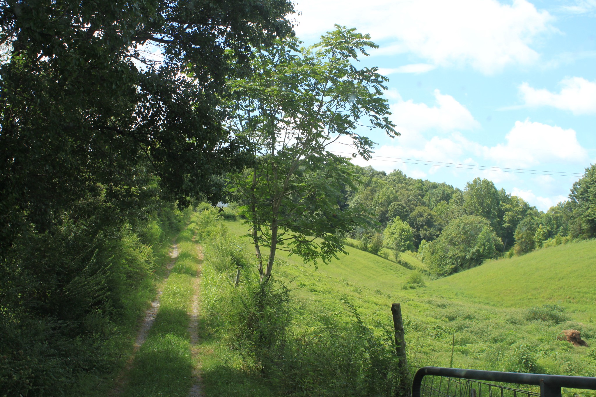 2 Old Mill Hill Road Dowelltown, TN 37059 - Photo 4 of 33 a view of a lush green space