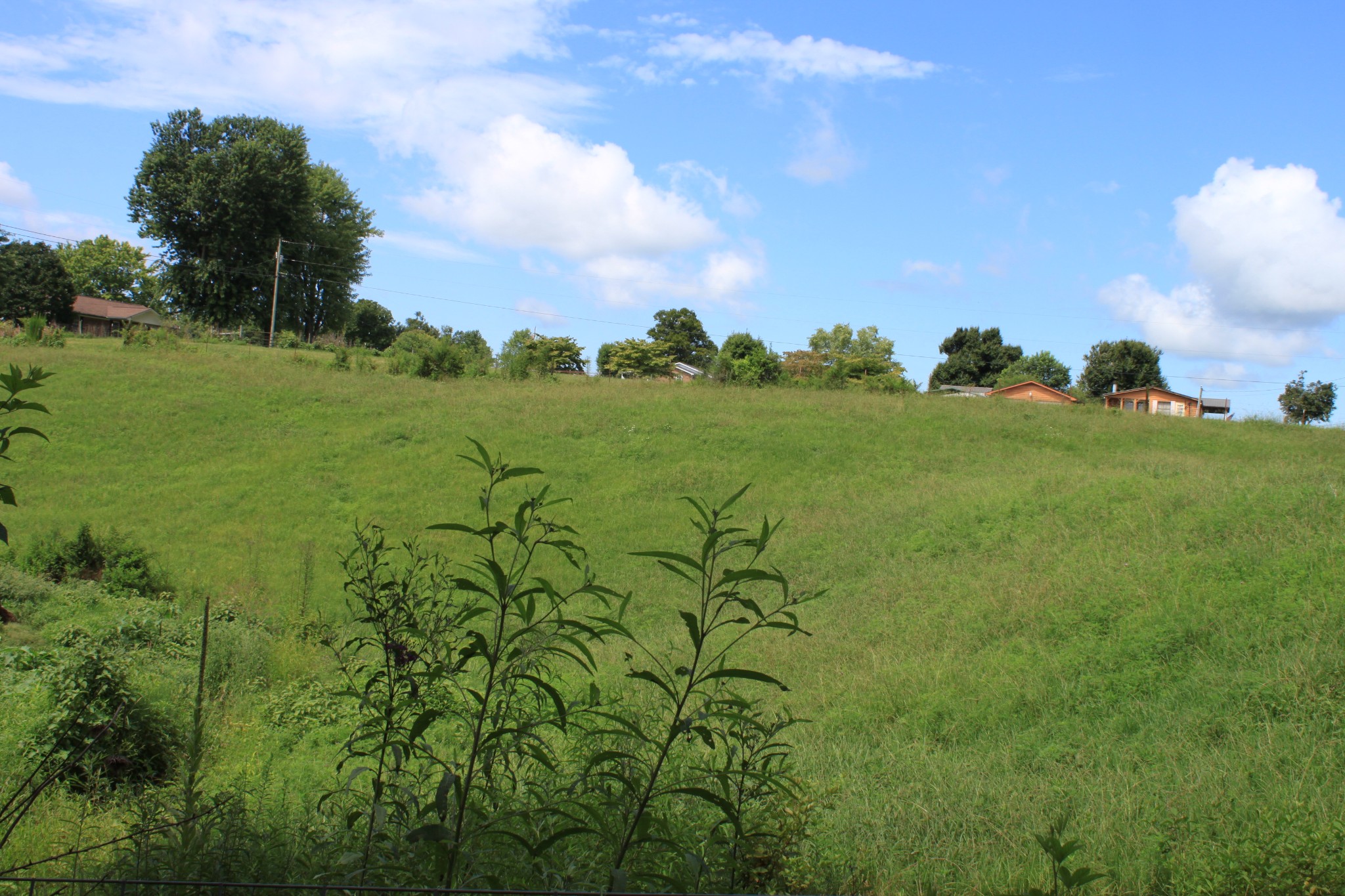 2 Old Mill Hill Road Dowelltown, TN 37059 - Photo 5 of 33 a view of a lake