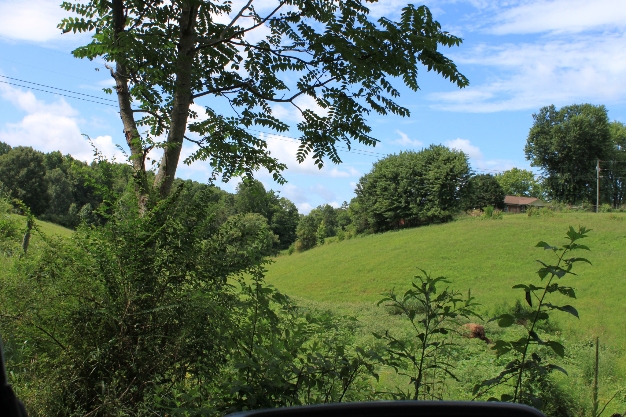 2 Old Mill Hill Road Dowelltown, TN 37059 - Photo 6 of 33 a view of a garden with an tree