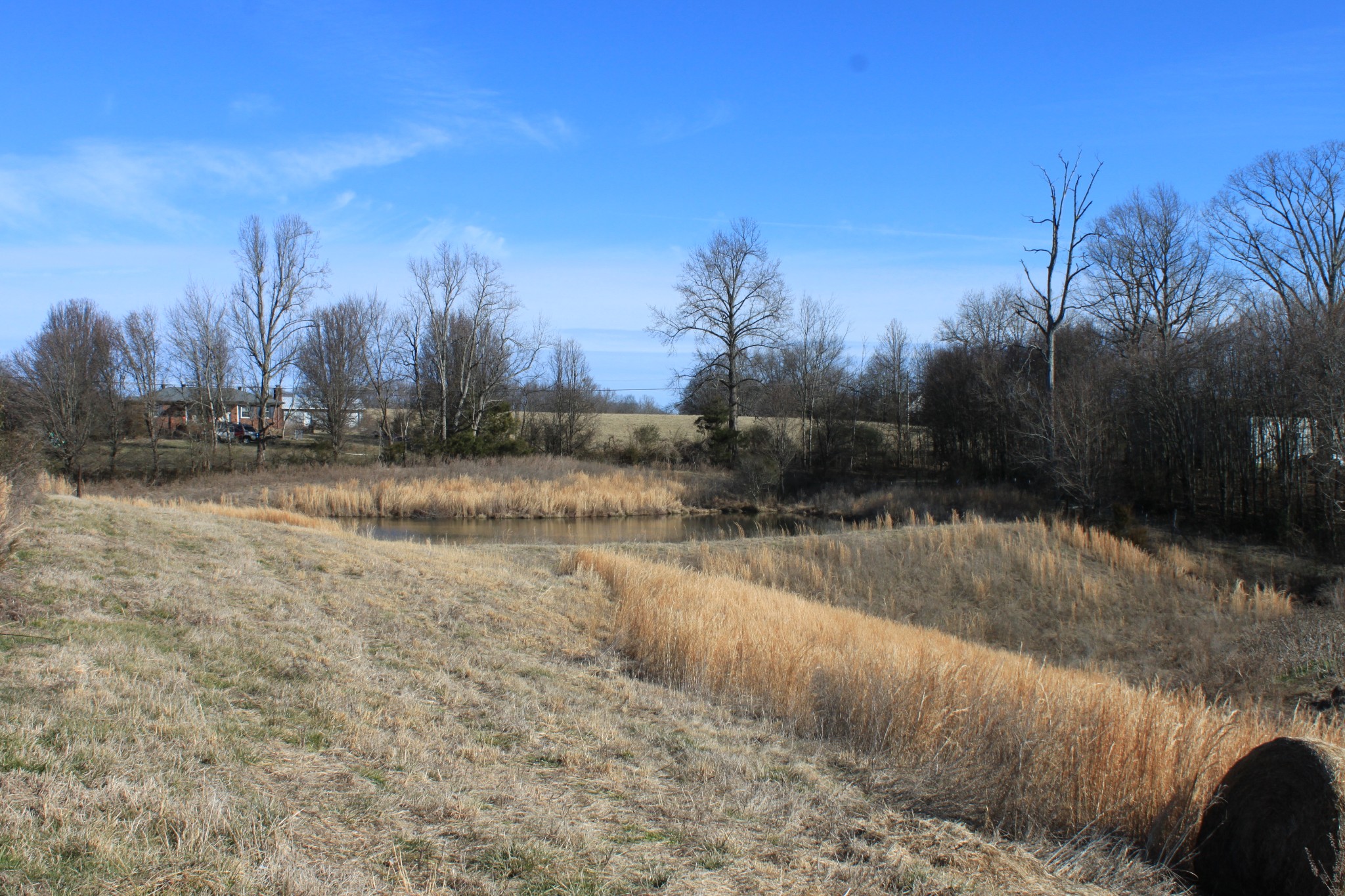 2 Old Mill Hill Road Dowelltown, TN 37059 - Photo 9 of 33 a view of a yard with trees in the background