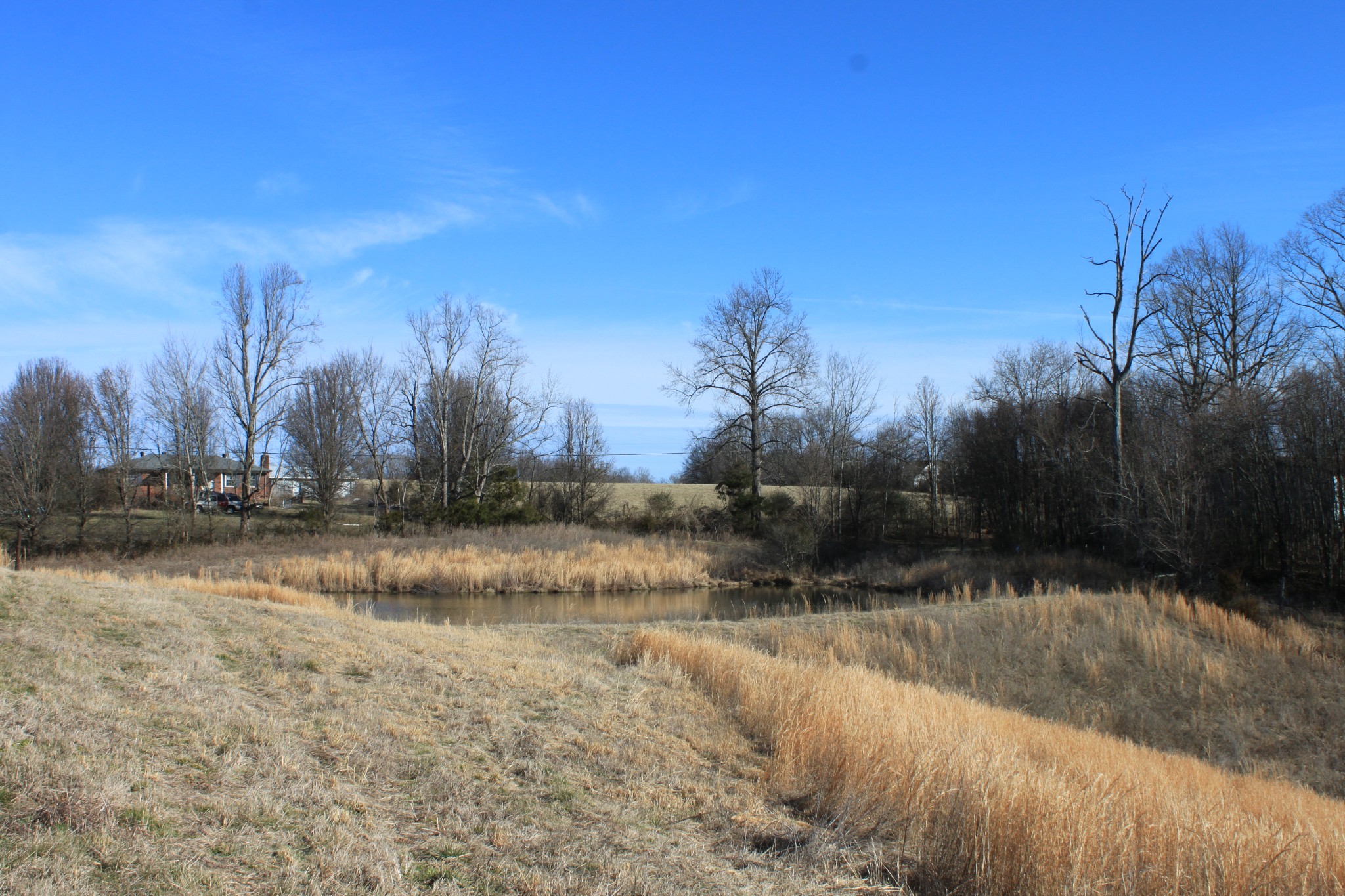 2 Old Mill Hill Road Dowelltown, TN 37059 - Photo 10 of 33 a view of lake view with trees