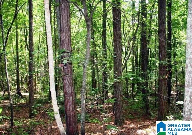 0 Pleasant Grove Road, Unit 70 14 ACRES Lineville, AL 36266 - Photo 13 of 21 Gallery Image 13