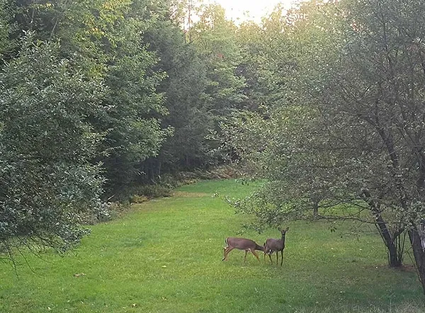 $245,000 | 1150 Lakewood Road, Madison, ME 04950