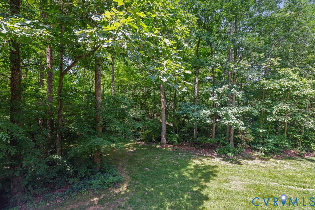14010 Harbour Pointe Road Midlothian, VA 23112 - Photo 56 of 84