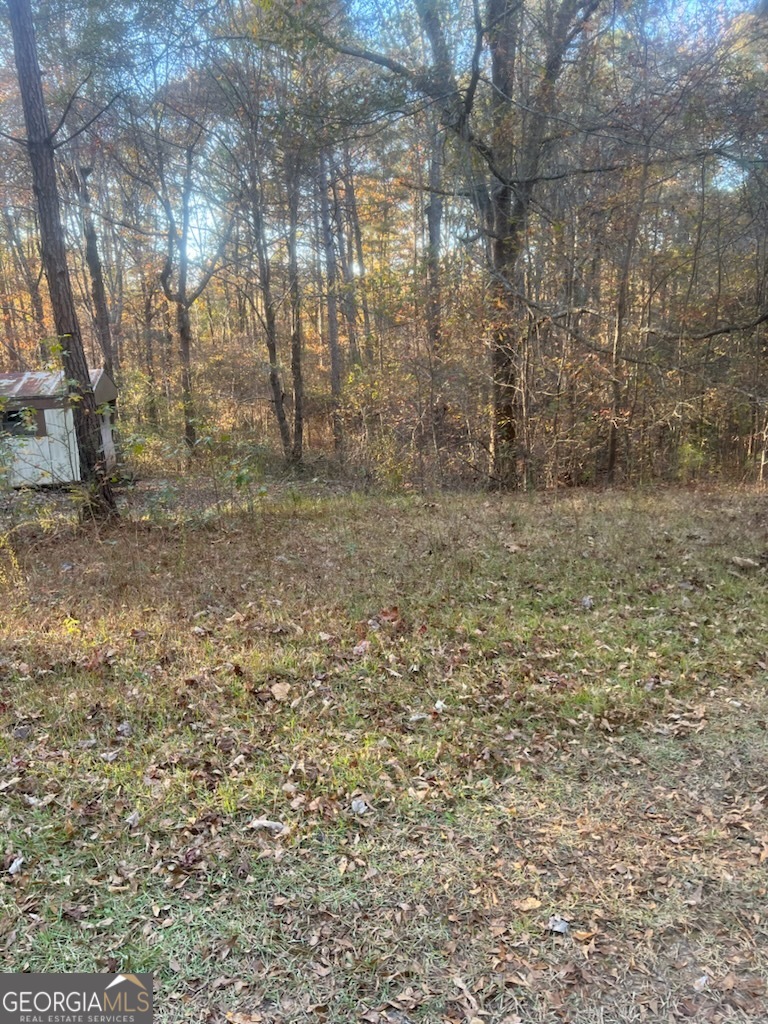 1239 Cross Plains Road Carrollton, GA 30116 - Photo 3 of 5