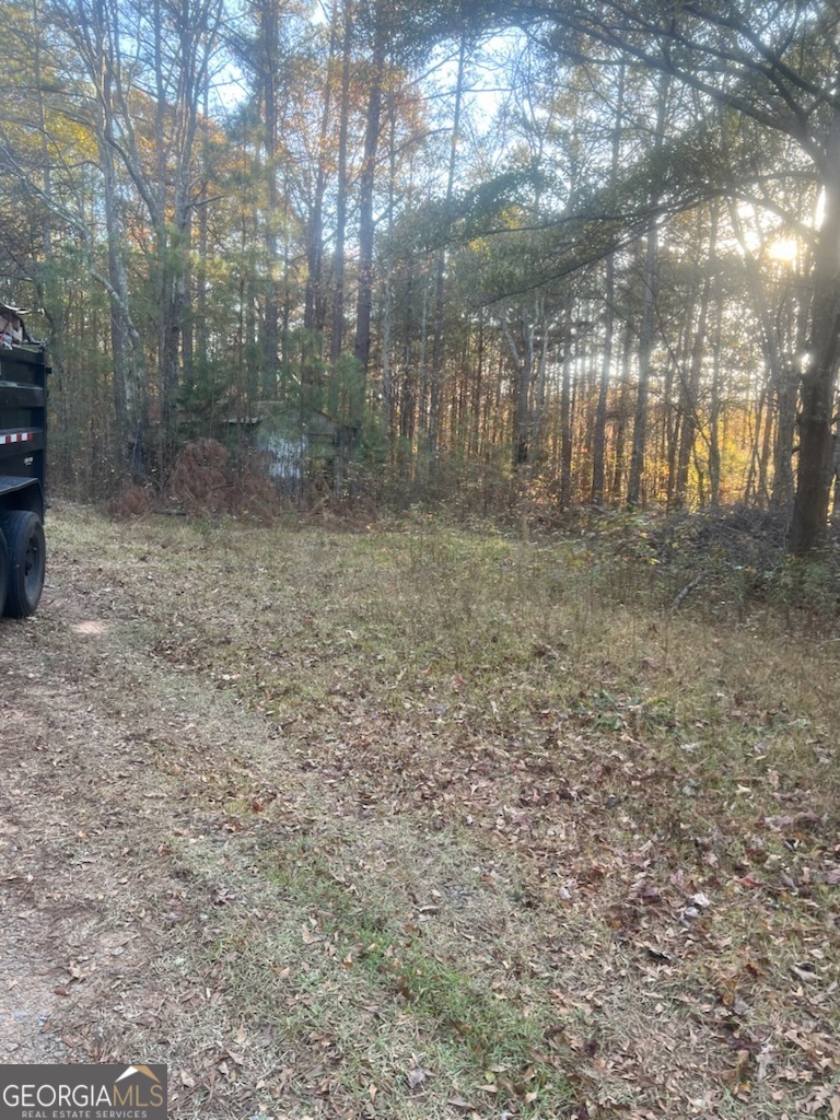 1239 Cross Plains Road Carrollton, GA 30116 - Photo 5 of 5