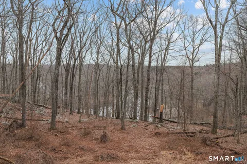 a view of a backyard of the house