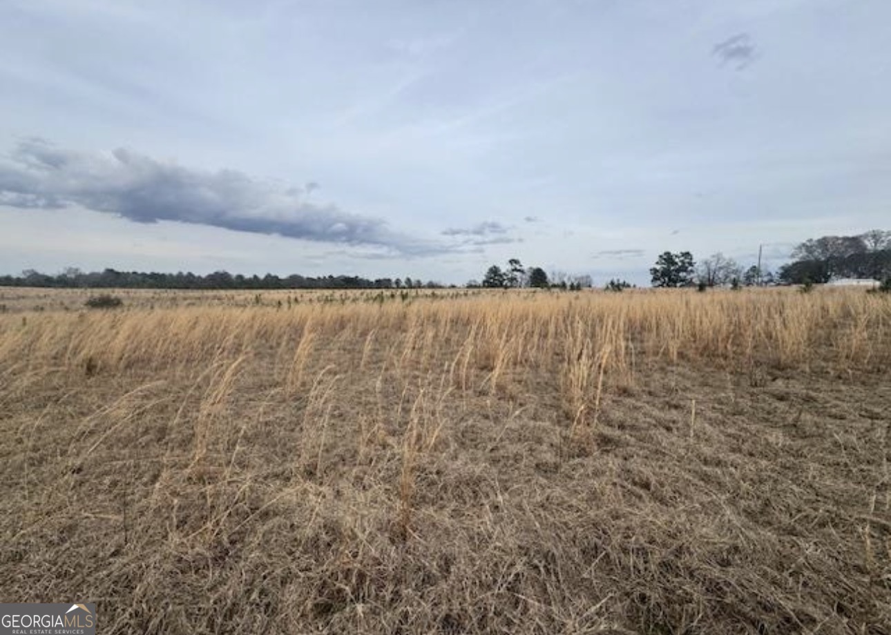 0 Mark Wood Rd (lot 6) Dexter, GA 31019 - Photo 5 of 5 a view of an ocean