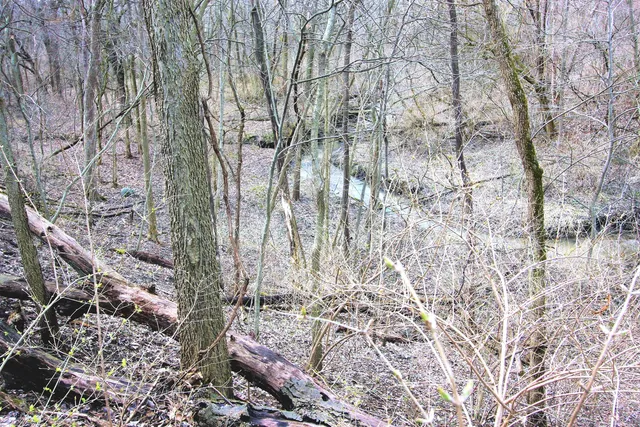 a view of yard with green space