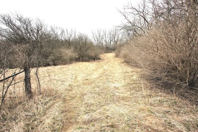 a view of a yard covered in snow