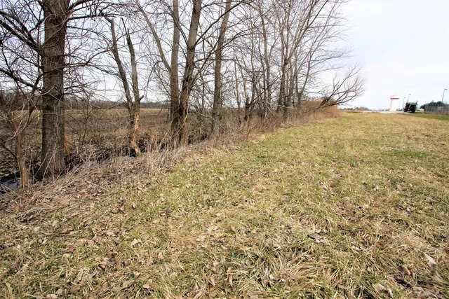 a view of a yard with trees