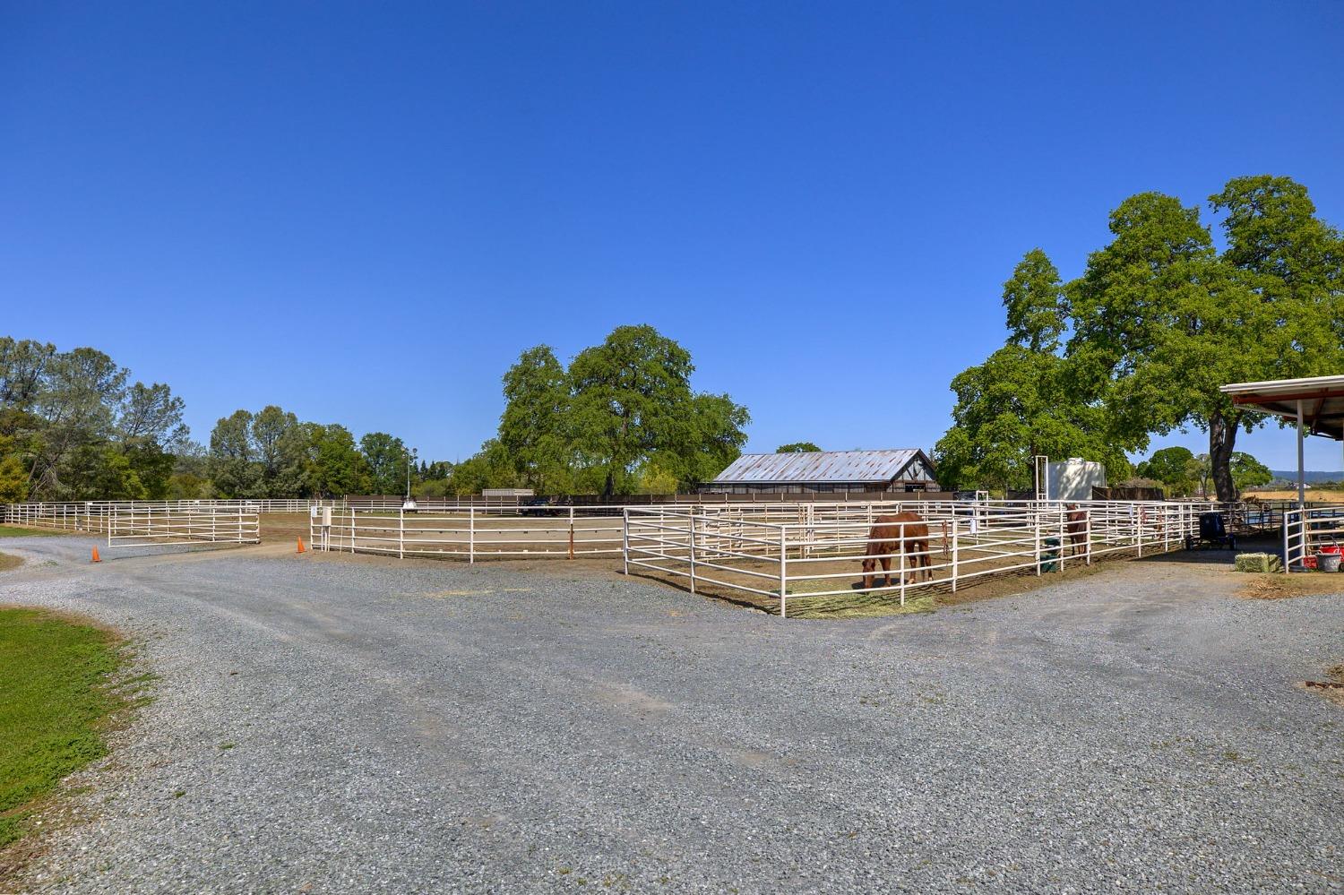 1140 Cold Springs Road Placerville, CA 95667 - Photo 3 of 67 Equestrian Facilities