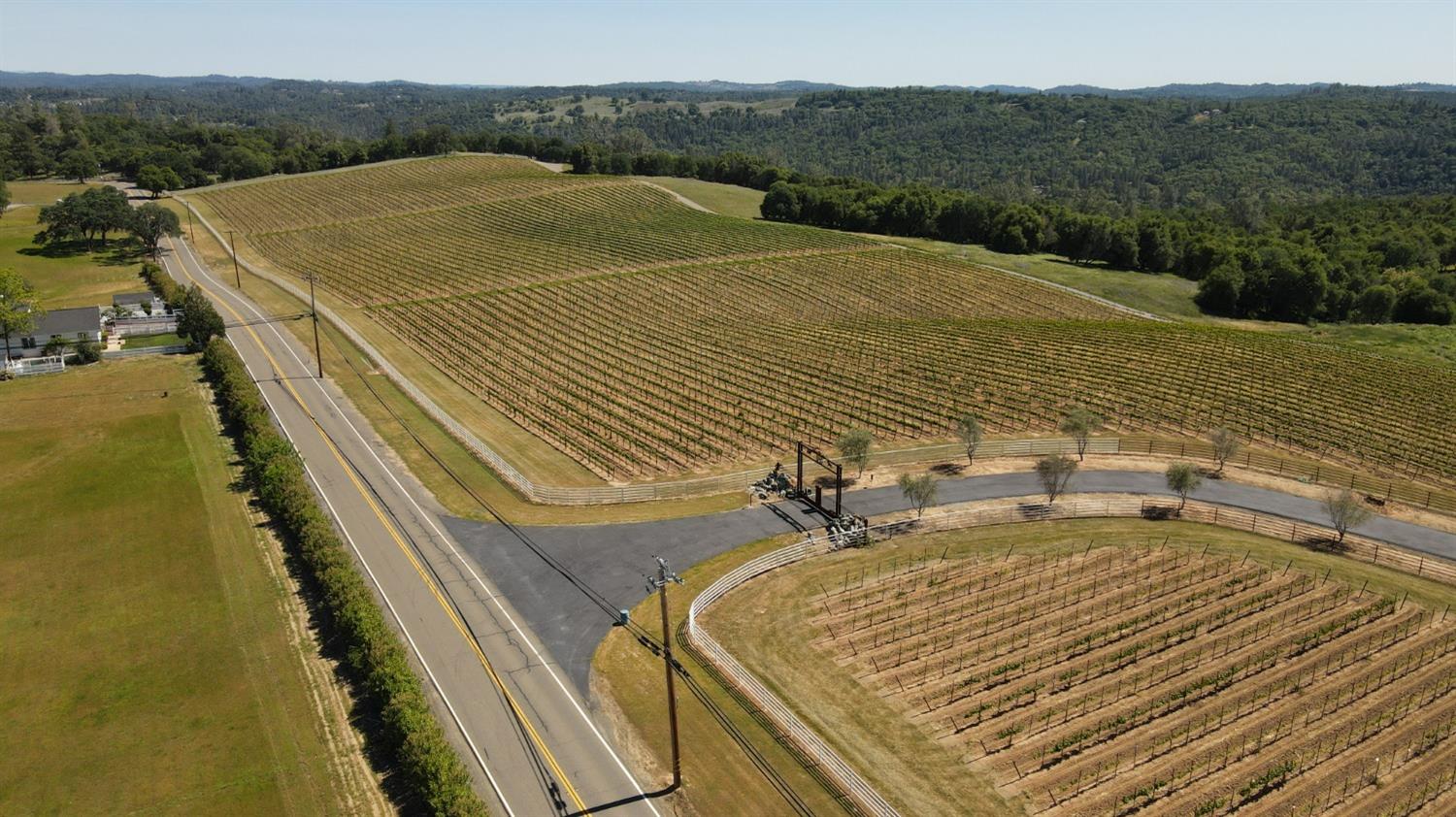 1140 Cold Springs Road Placerville, CA 95667 - Photo 6 of 67 Vineyards