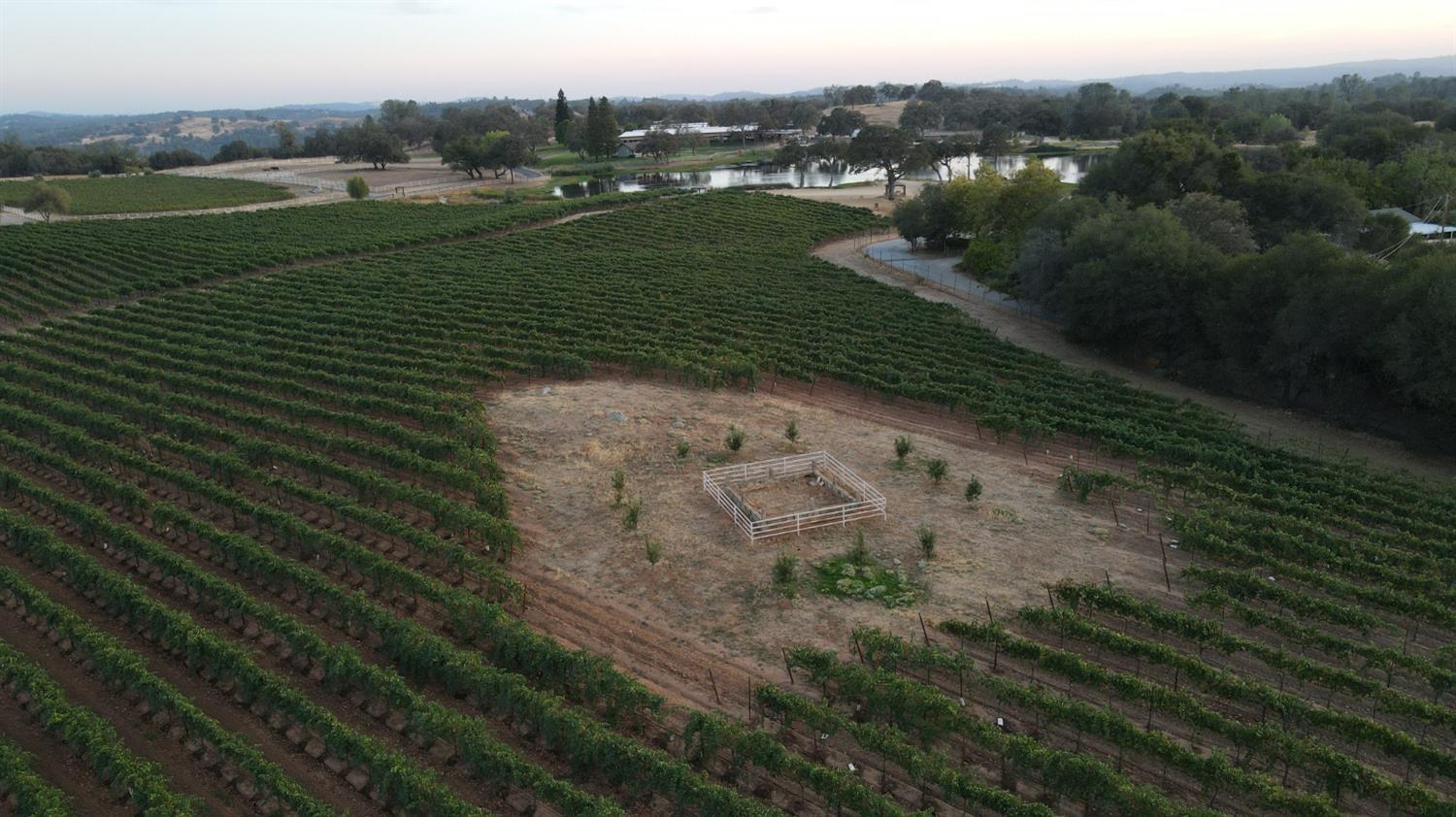 1140 Cold Springs Road Placerville, CA 95667 - Photo 94 of 98 Historical Cemetery among the Vineyards