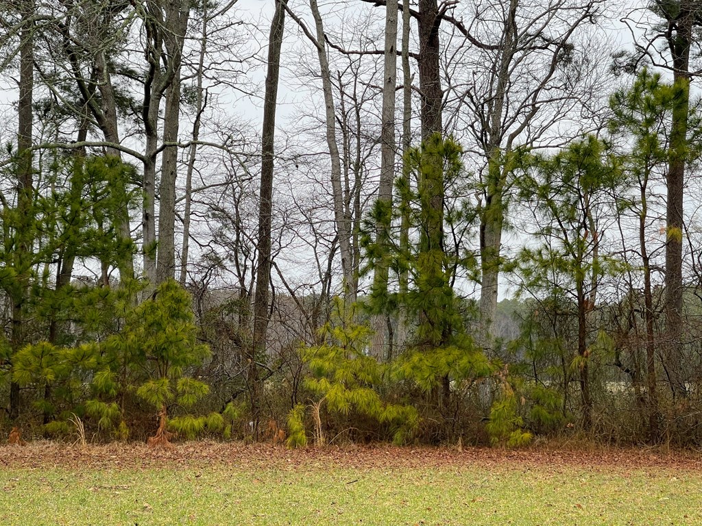 Lot 112 Clark Street Parksley, VA 23421 - Photo 3 of 3