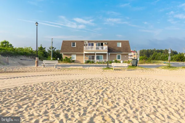 a living room filled with furniture and a potted plant