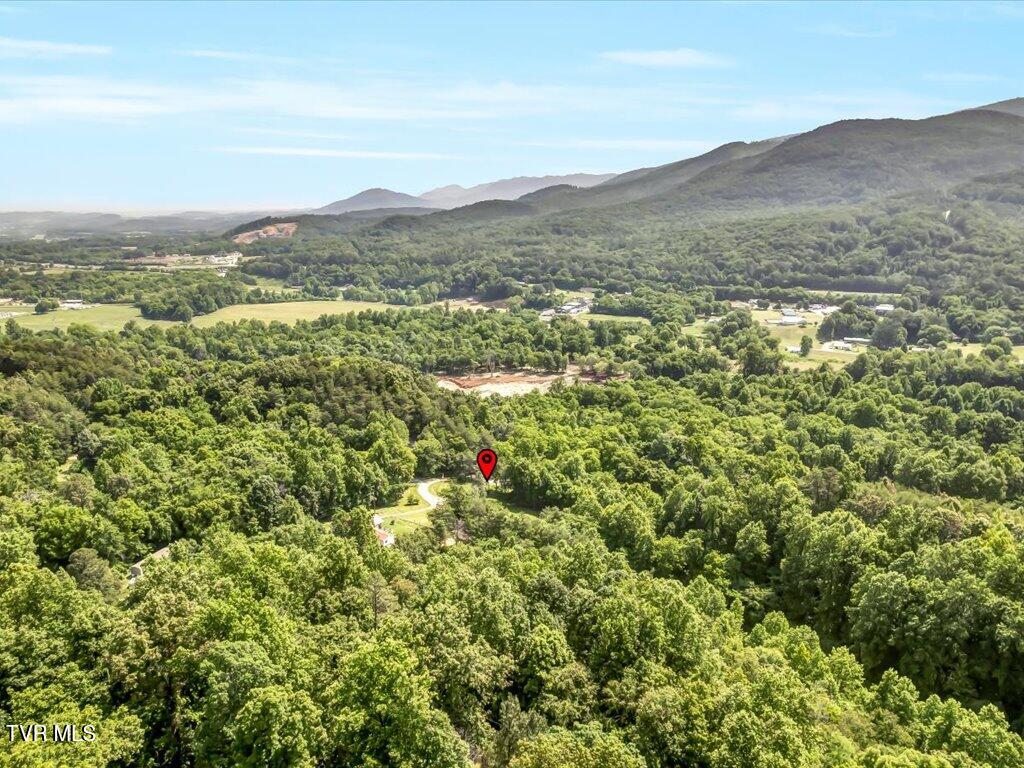 2199 Stone View Way Cosby, TN 37722 - Photo 24 of 27 2199 Stone View Way - 24
