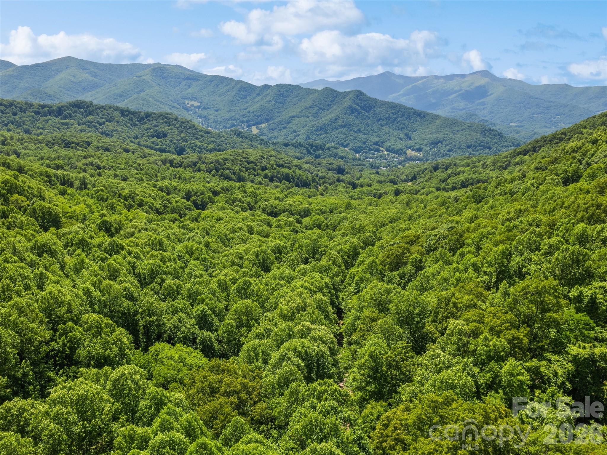 0 Rustic Road Waynesville, NC 28786 - Photo 11 of 11