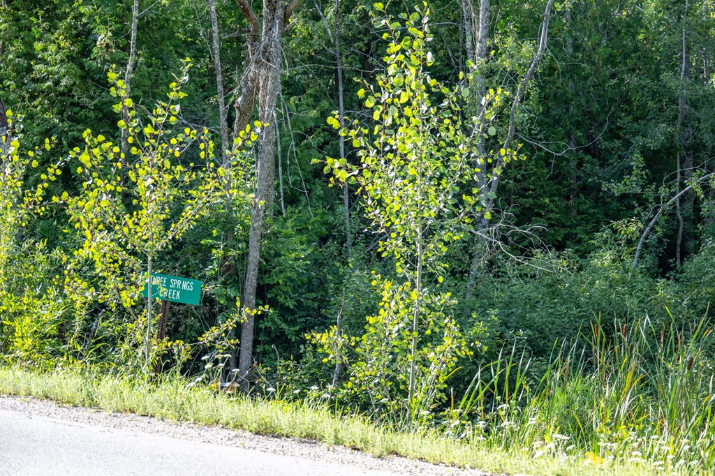Tbd Tbd County Road Sister Bay, WI 54234 - Photo 6 of 32