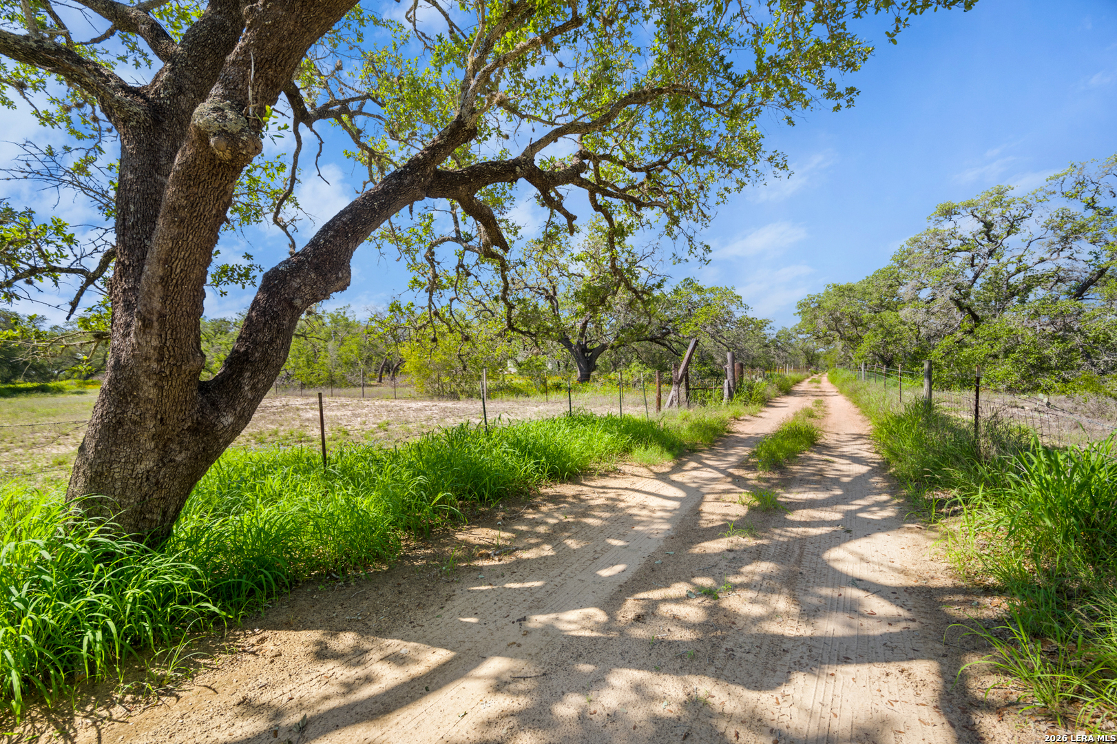 230 P R D65 Poteet, TX 78065 - Photo 2 of 29 a backyard of a house with lots of green space