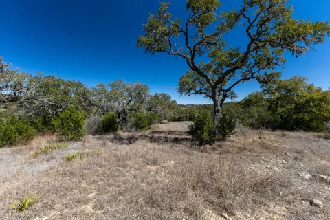 a view of a dry yard with trees