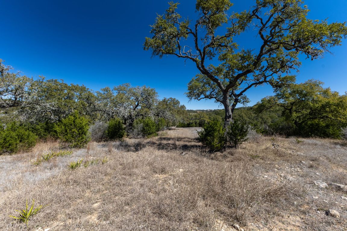 2232 San Jose Way Canyon Lake, TX 78133 - Photo 4 of 16 a view of a dry yard with trees