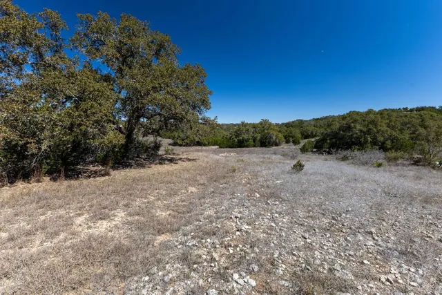 a view of a field with a tree in the background