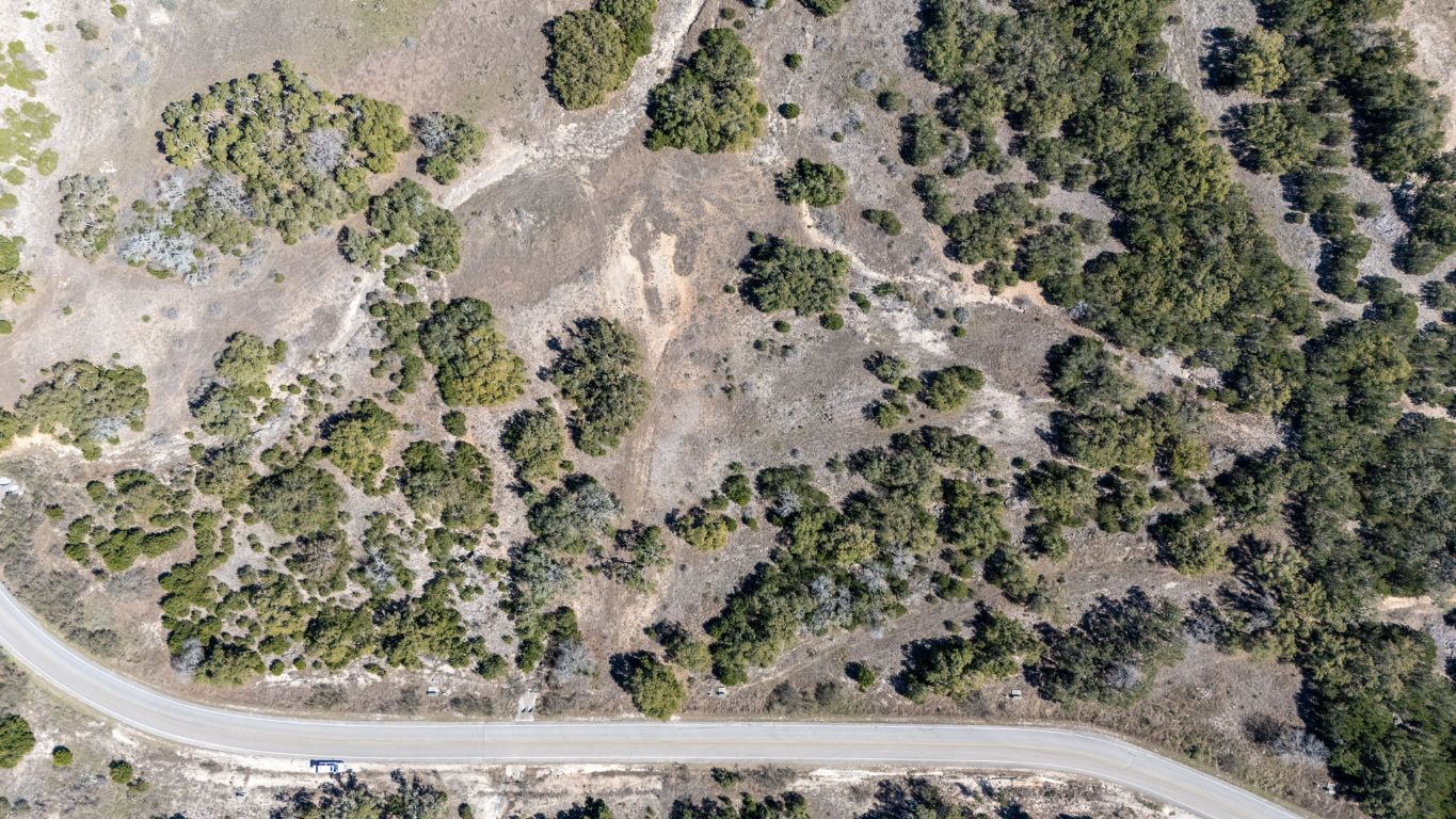 2232 San Jose Way Canyon Lake, TX 78133 - Photo 8 of 16 a view of a plant in a yard