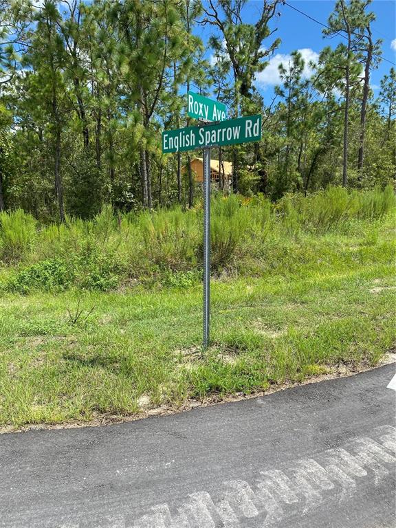 13181 Roxy Avenue Weeki Wachee, FL 34614 - Photo 1 of 1