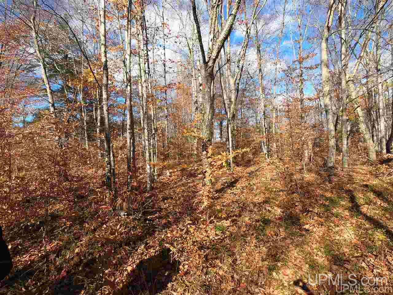 Tbd Tbd Vega Road Hermansville, MI 49847 - Photo 6 of 11