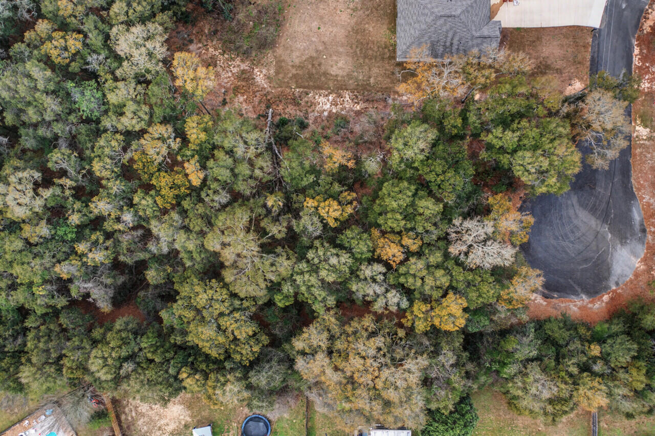 236 Seneca Trail Crestview, FL 32536 - Photo 14 of 16