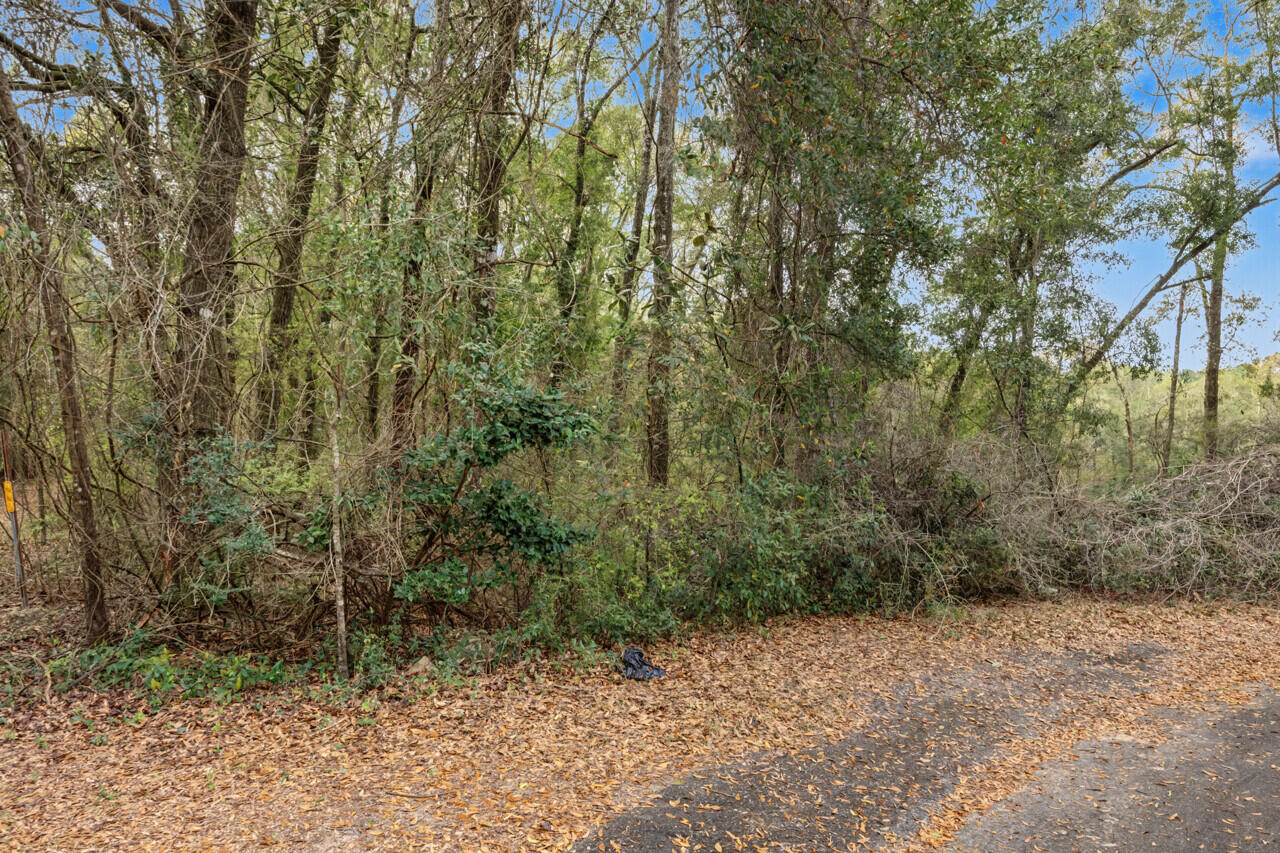 236 Seneca Trail Crestview, FL 32536 - Photo 3 of 16 a view of a yard with trees