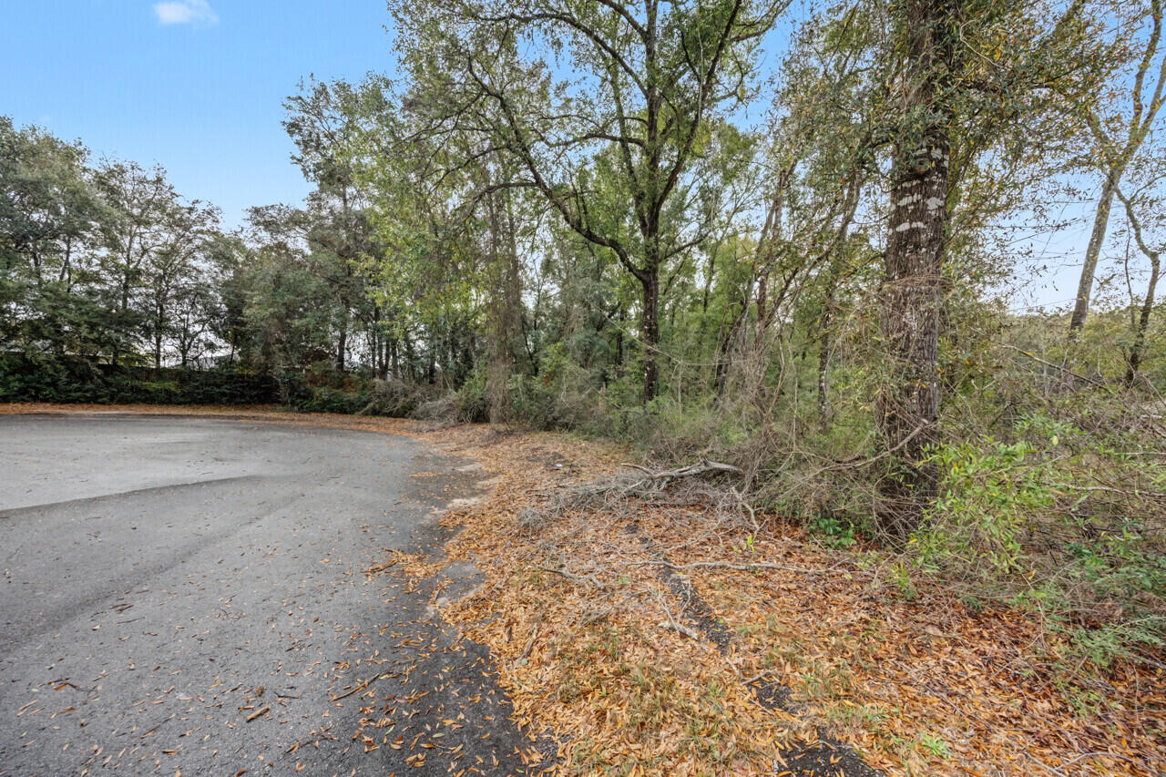 236 Seneca Trail Crestview, FL 32536 - Photo 4 of 16 a view of a yard with a tree