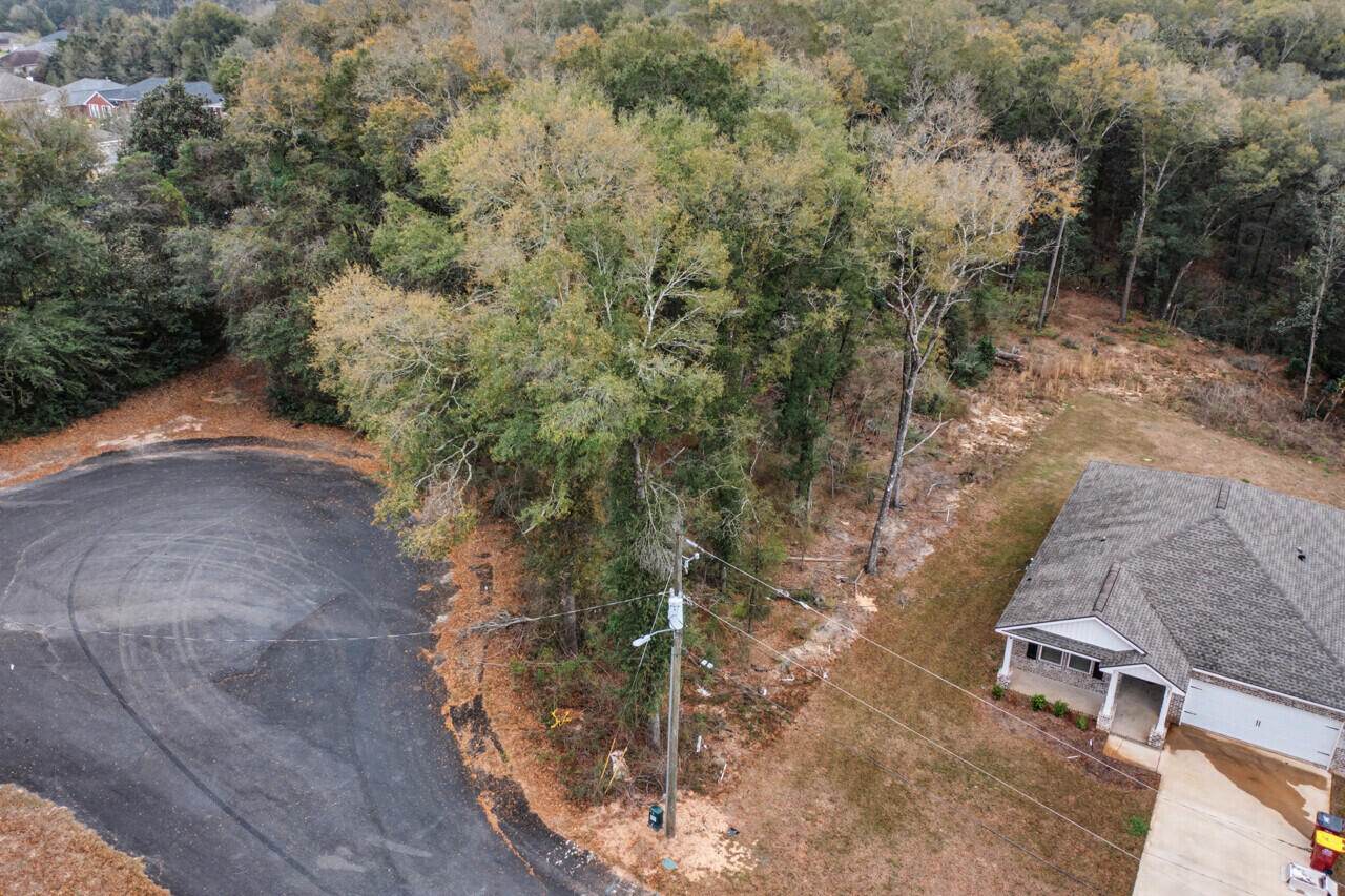 236 Seneca Trail Crestview, FL 32536 - Photo 6 of 16 a view of a yard with plants